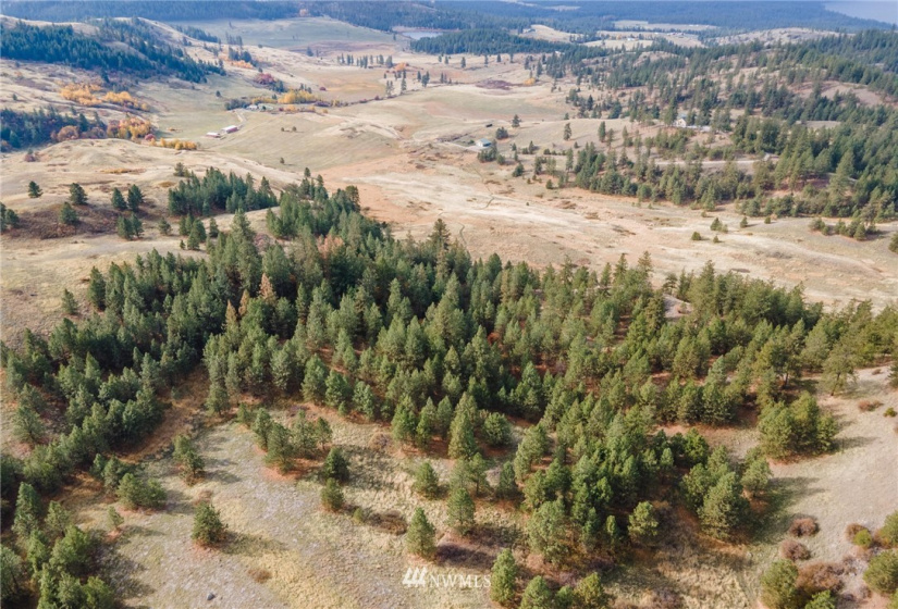 5170 Pheasant, Fruitland, Washington 99129, ,Land,For Sale,Pheasant,NWM1857689