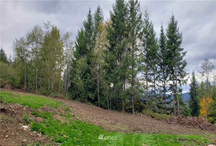 261 XX Landsburg, Maple Valley, Washington 98051, ,Land,For Sale,BLA - L99L3020,Landsburg,NWM1857698