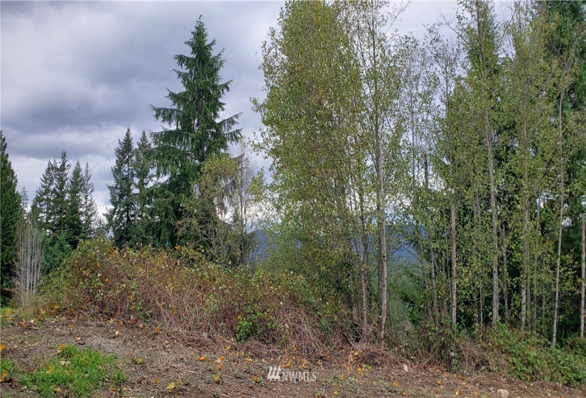 261 XX Landsburg, Maple Valley, Washington 98051, ,Land,For Sale,BLA - L99L3020,Landsburg,NWM1857698