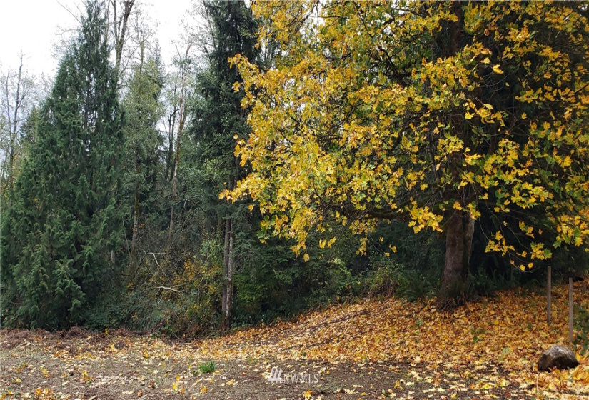261 XX Landsburg, Maple Valley, Washington 98051, ,Land,For Sale,BLA - L99L3020,Landsburg,NWM1857698