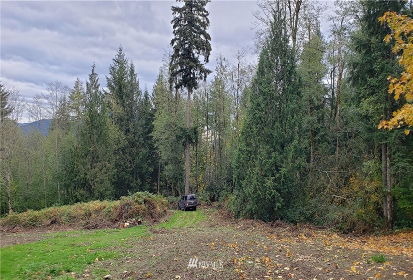 261 XX Landsburg, Maple Valley, Washington 98051, ,Land,For Sale,BLA - L99L3020,Landsburg,NWM1857698