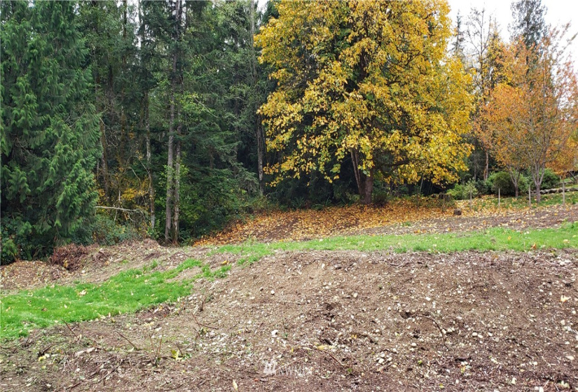 261 XX Landsburg, Maple Valley, Washington 98051, ,Land,For Sale,BLA - L99L3020,Landsburg,NWM1857698