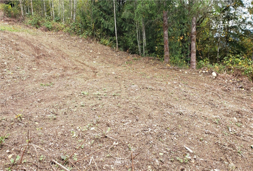 261 XX Landsburg, Maple Valley, Washington 98051, ,Land,For Sale,BLA - L99L3020,Landsburg,NWM1857698
