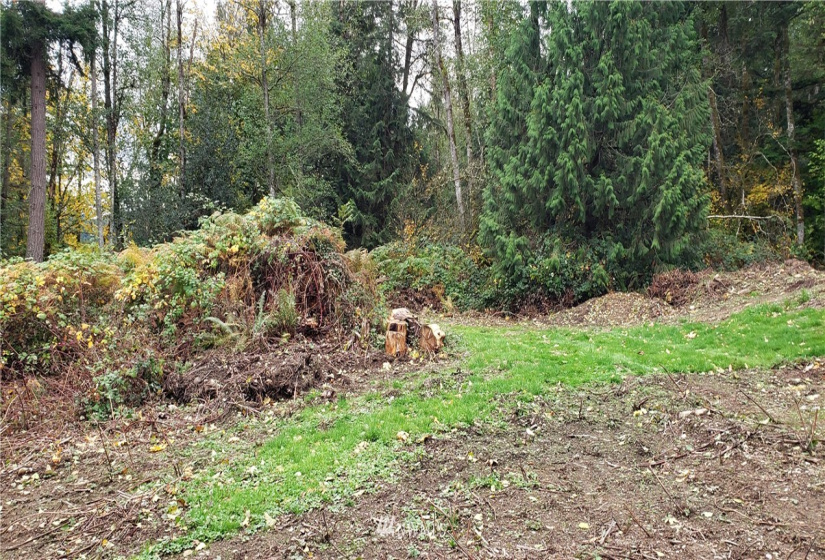261 XX Landsburg, Maple Valley, Washington 98051, ,Land,For Sale,BLA - L99L3020,Landsburg,NWM1857698