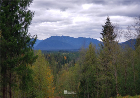 261 XX Landsburg, Maple Valley, Washington 98051, ,Land,For Sale,BLA - L99L3020,Landsburg,NWM1857698