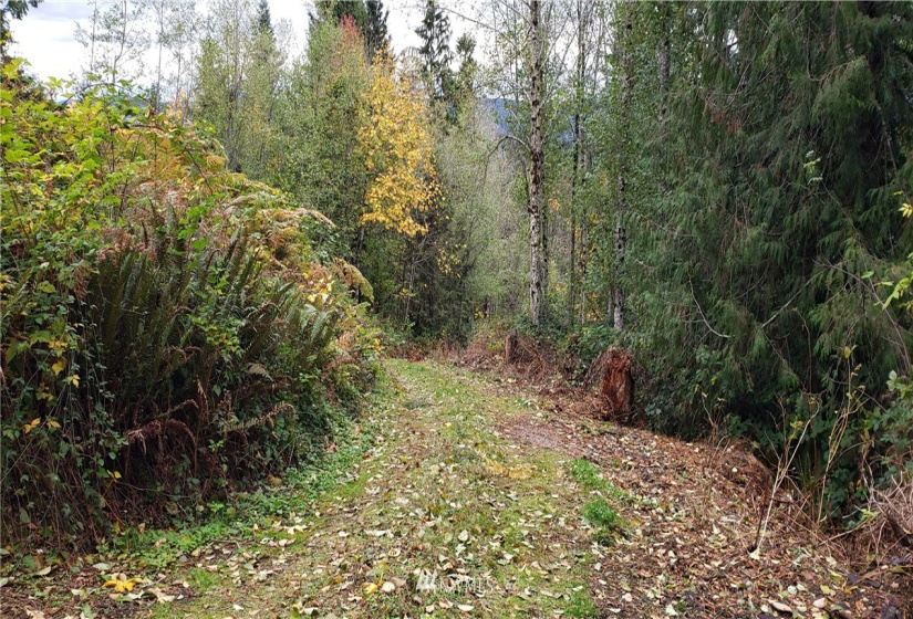 261 XX Landsburg, Maple Valley, Washington 98051, ,Land,For Sale,BLA - L99L3020,Landsburg,NWM1857698