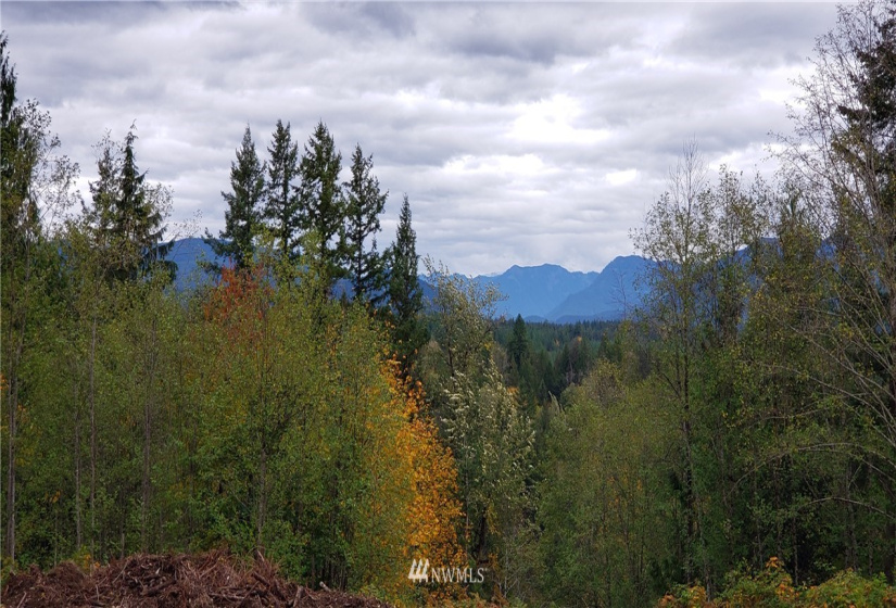 261 XX Landsburg, Maple Valley, Washington 98051, ,Land,For Sale,BLA - L99L3020,Landsburg,NWM1857698