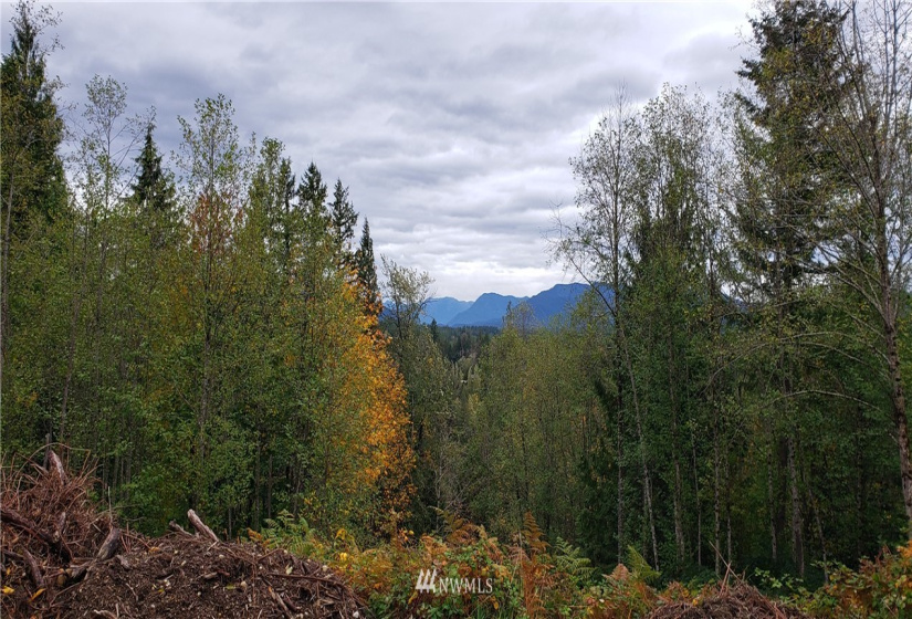 261 XX Landsburg, Maple Valley, Washington 98051, ,Land,For Sale,BLA - L99L3020,Landsburg,NWM1857698