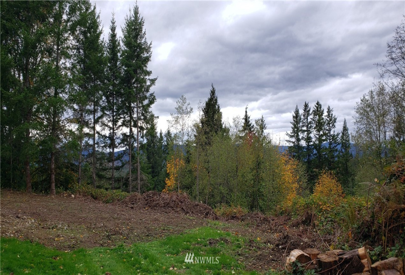 261 XX Landsburg, Maple Valley, Washington 98051, ,Land,For Sale,BLA - L99L3020,Landsburg,NWM1857698