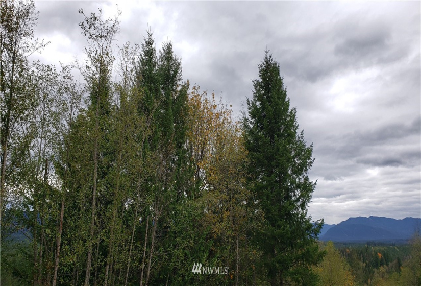 261 XX Landsburg, Maple Valley, Washington 98051, ,Land,For Sale,BLA - L99L3020,Landsburg,NWM1857698