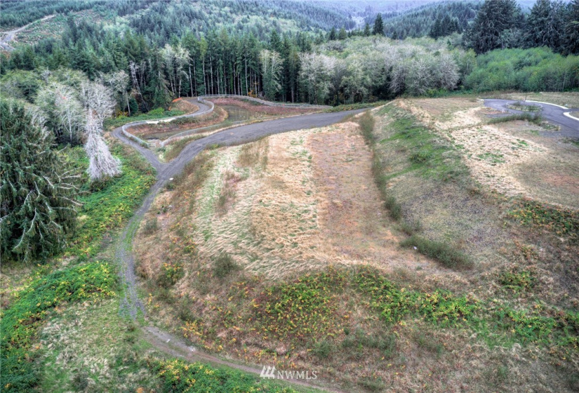 905 Water, South Bend, Washington 98586, ,Land,For Sale,Water,NWM1856534