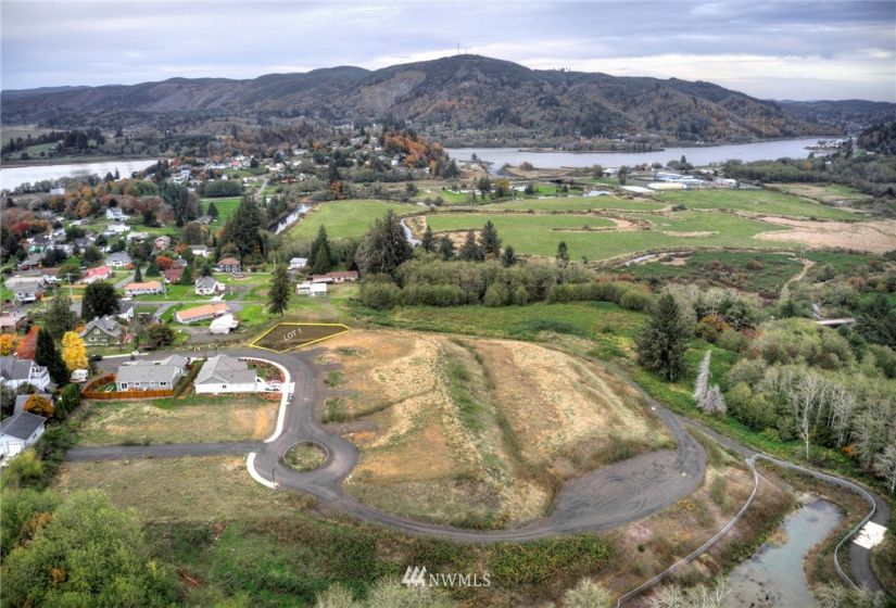 905 Water, South Bend, Washington 98586, ,Land,For Sale,Water,NWM1856534