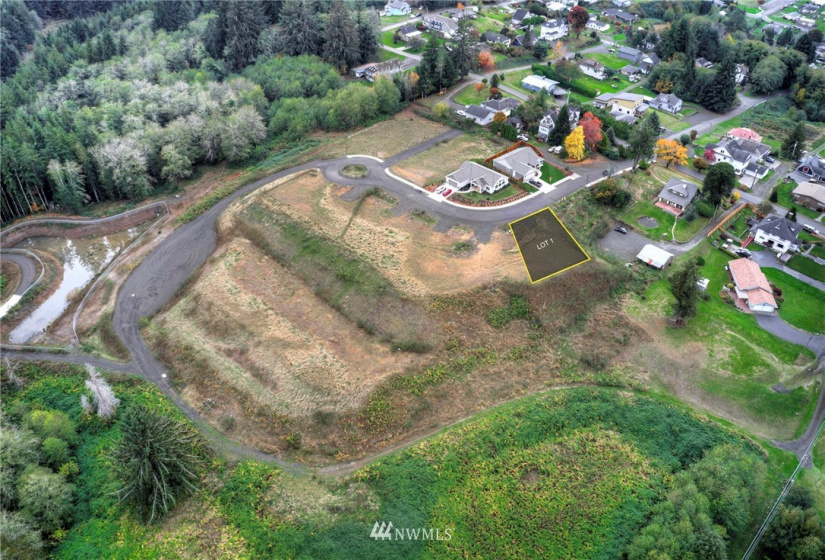 905 Water, South Bend, Washington 98586, ,Land,For Sale,Water,NWM1856534