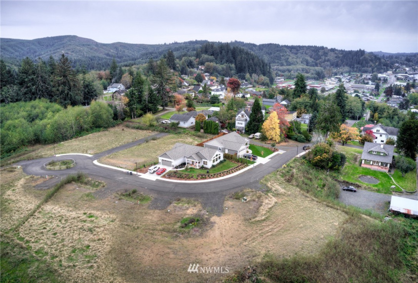 905 Water, South Bend, Washington 98586, ,Land,For Sale,Water,NWM1856534