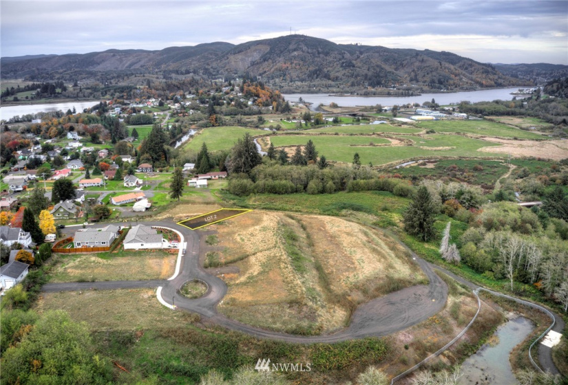 907 Water, South Bend, Washington 98586, ,Land,For Sale,Water,NWM1856539