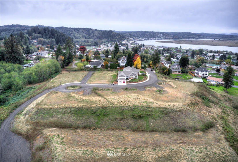 909 Water, South Bend, Washington 98586, ,Land,For Sale,Water,NWM1856583