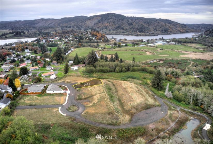 909 Water, South Bend, Washington 98586, ,Land,For Sale,Water,NWM1856583
