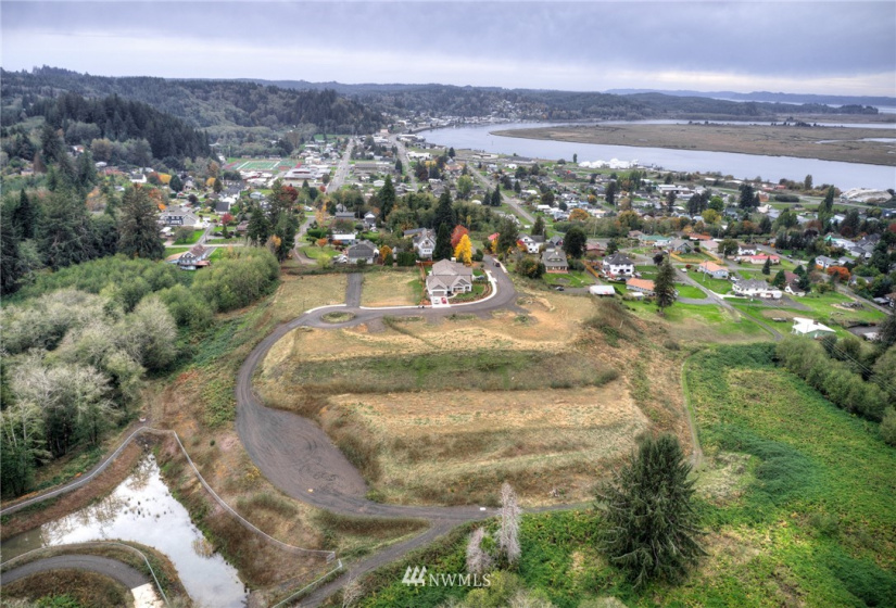 909 Water, South Bend, Washington 98586, ,Land,For Sale,Water,NWM1856583