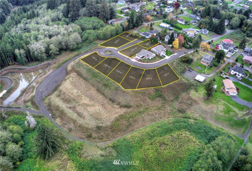 911 Water, South Bend, Washington 98586, ,Land,For Sale,Water,NWM1856587