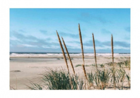 90 Dunes, Ocean Shores, Washington 98569, ,Land,For Sale,Dunes,NWM1857431