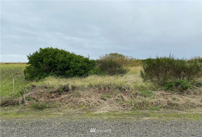 90 Dunes, Ocean Shores, Washington 98569, ,Land,For Sale,Dunes,NWM1857431