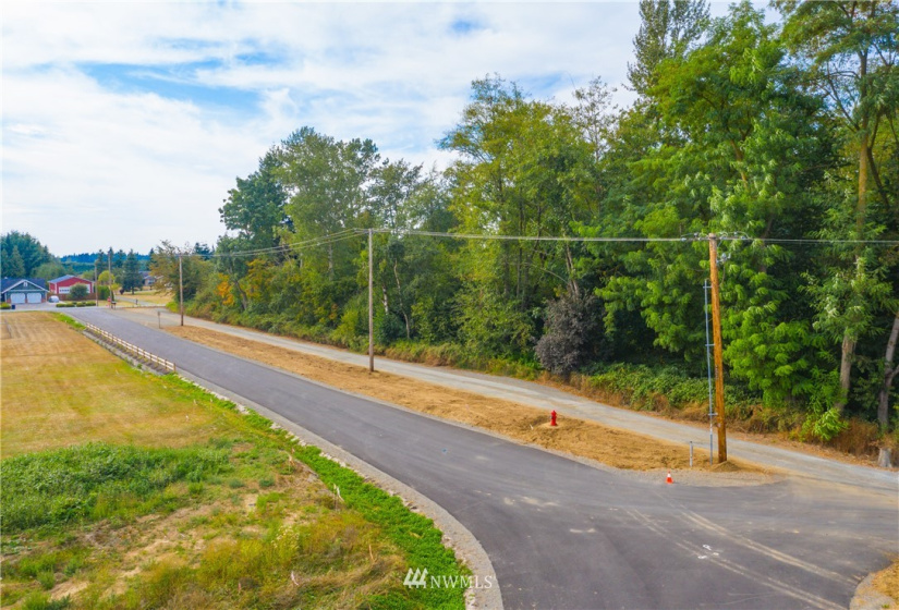 2481 River Rock, Everson, Washington 98247, ,Land,For Sale,River Rock,NWM1853616