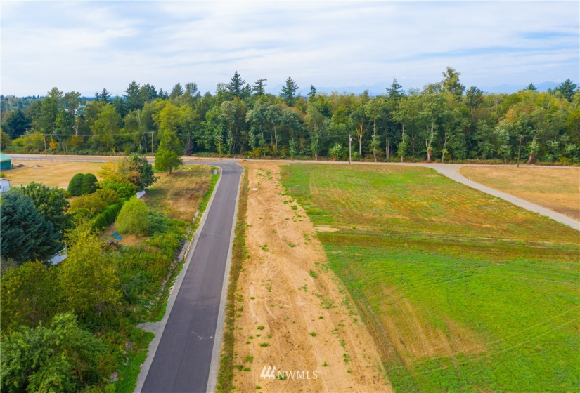 2487 River Rock, Everson, Washington 98247, ,Land,For Sale,River Rock,NWM1853615