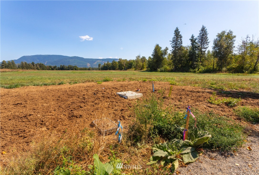 2487 River Rock, Everson, Washington 98247, ,Land,For Sale,River Rock,NWM1853615