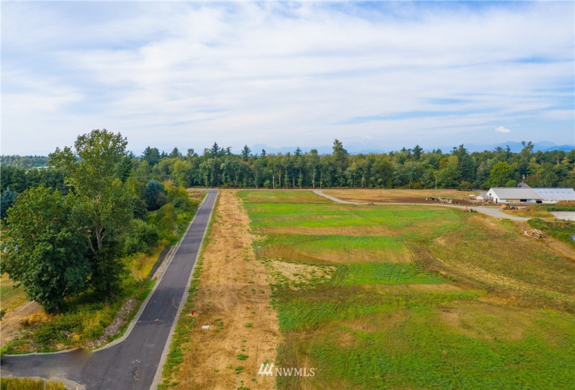 2487 River Rock, Everson, Washington 98247, ,Land,For Sale,River Rock,NWM1853615