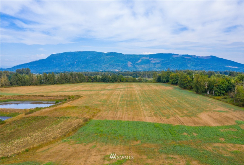 2463 River Rock, Everson, Washington 98247, ,Land,For Sale,River Rock,NWM1853619