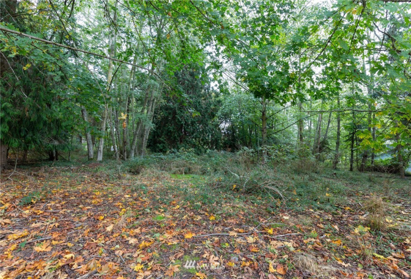 0 XXX Nimitz, Coupeville, Washington 98239, ,Land,For Sale,Nimitz,NWM1854137
