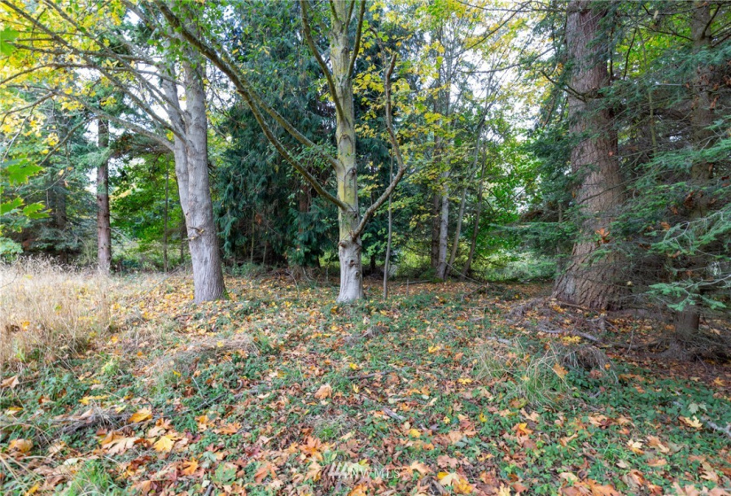 0 XXX Nimitz, Coupeville, Washington 98239, ,Land,For Sale,Nimitz,NWM1854137