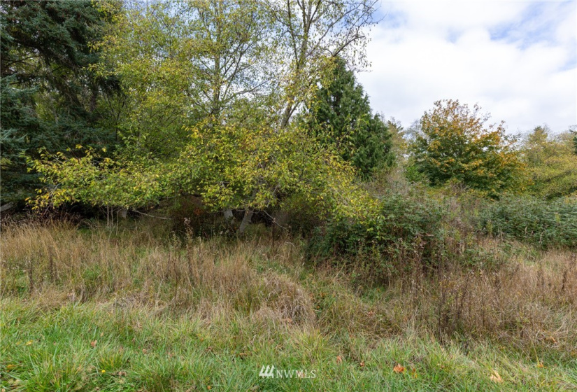 0 XXX Nimitz, Coupeville, Washington 98239, ,Land,For Sale,Nimitz,NWM1854137