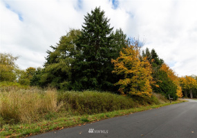 0 XXX Nimitz, Coupeville, Washington 98239, ,Land,For Sale,Nimitz,NWM1854137