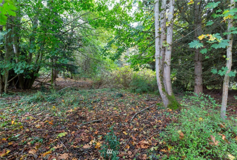 0 XXX Nimitz, Coupeville, Washington 98239, ,Land,For Sale,Nimitz,NWM1854137