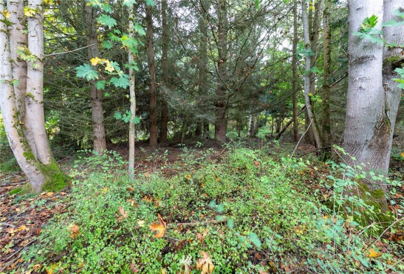 0 XXX Nimitz, Coupeville, Washington 98239, ,Land,For Sale,Nimitz,NWM1854137