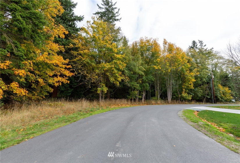 0 XXX Nimitz, Coupeville, Washington 98239, ,Land,For Sale,Nimitz,NWM1854137