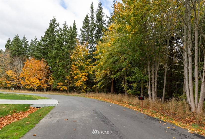 0 XXX Nimitz, Coupeville, Washington 98239, ,Land,For Sale,Nimitz,NWM1854137