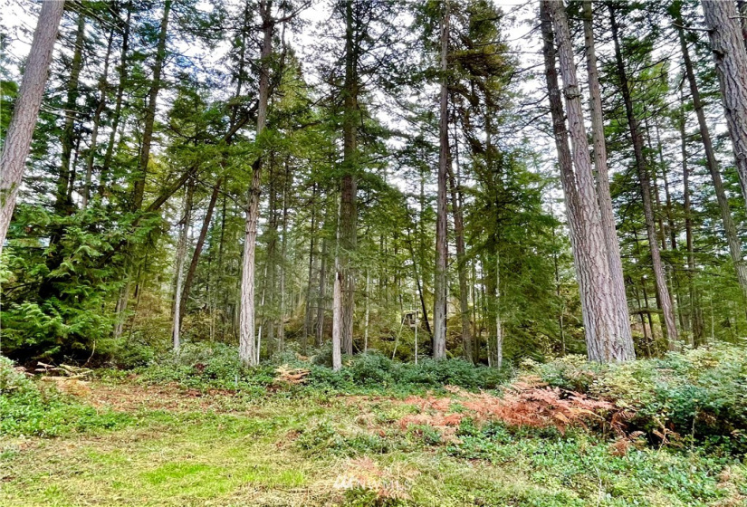 0 Reef Net, Friday Harbor, Washington 98250, ,Land,For Sale,Reef Net,NWM1858180