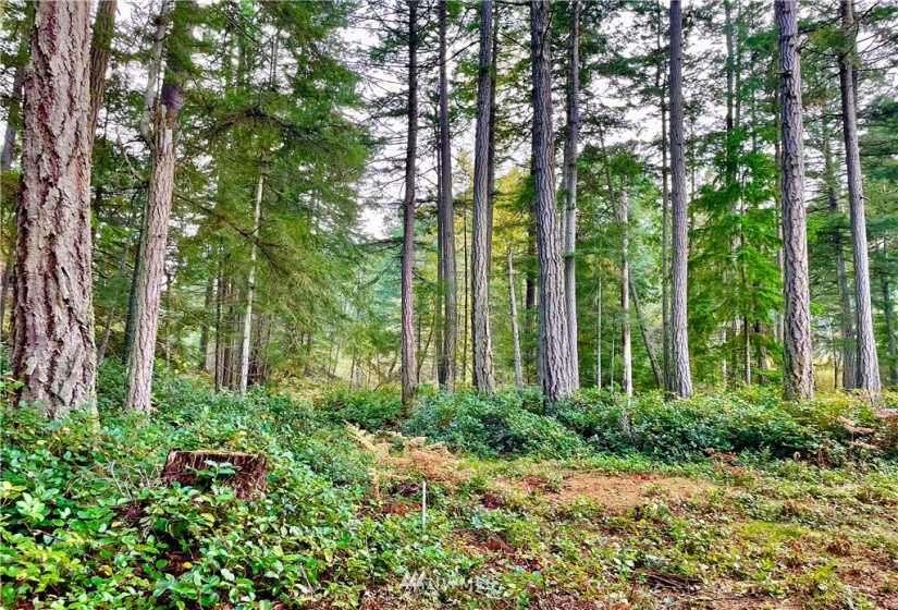 0 Reef Net, Friday Harbor, Washington 98250, ,Land,For Sale,Reef Net,NWM1858180