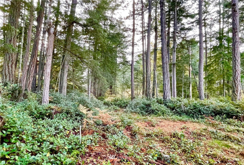 0 Reef Net, Friday Harbor, Washington 98250, ,Land,For Sale,Reef Net,NWM1858180
