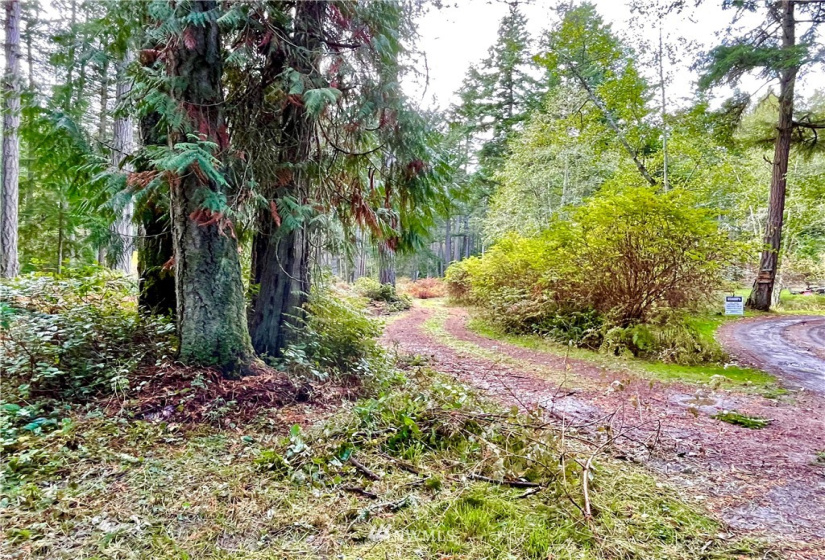 0 Reef Net, Friday Harbor, Washington 98250, ,Land,For Sale,Reef Net,NWM1858180