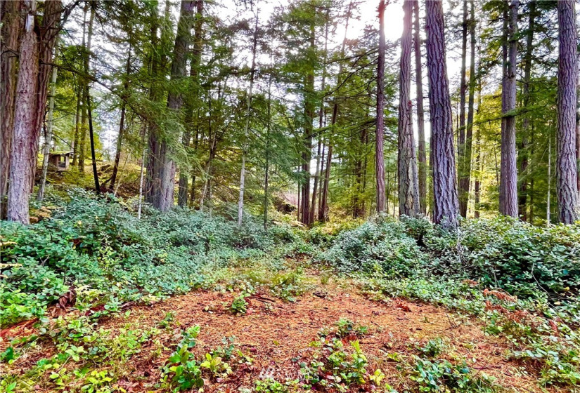0 Reef Net, Friday Harbor, Washington 98250, ,Land,For Sale,Reef Net,NWM1858180
