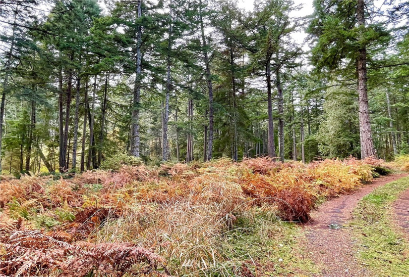 0 Reef Net, Friday Harbor, Washington 98250, ,Land,For Sale,Reef Net,NWM1858180