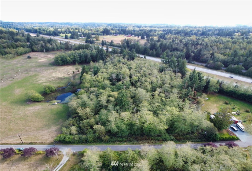 20787 Bulson, Stanwood, Washington 98282, ,Land,For Sale,Bulson,NWM1858216