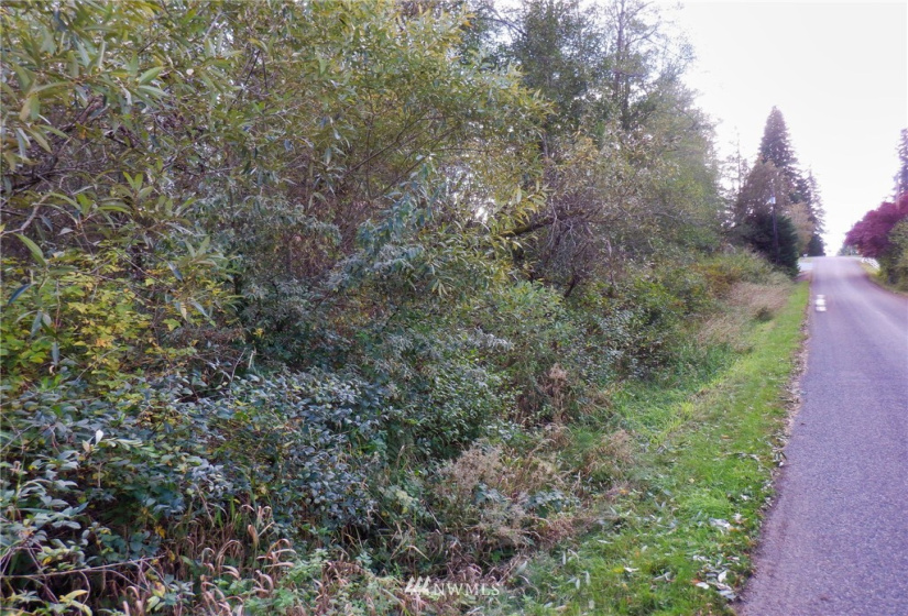 20787 Bulson, Stanwood, Washington 98282, ,Land,For Sale,Bulson,NWM1858216