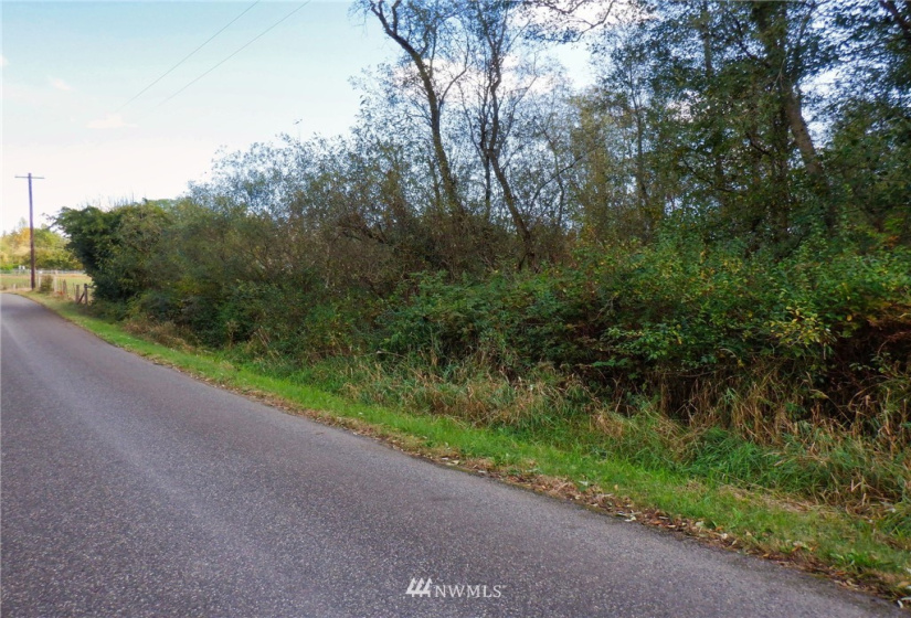 20787 Bulson, Stanwood, Washington 98282, ,Land,For Sale,Bulson,NWM1858216