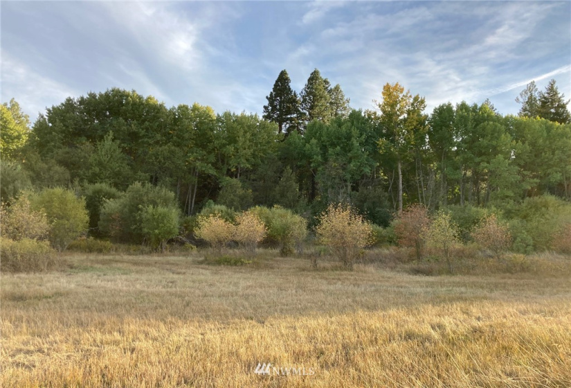 0 Westside, Cle Elum, Washington 98922, ,Land,For Sale,Rodney Dunn Estate,Westside,NWM1857849