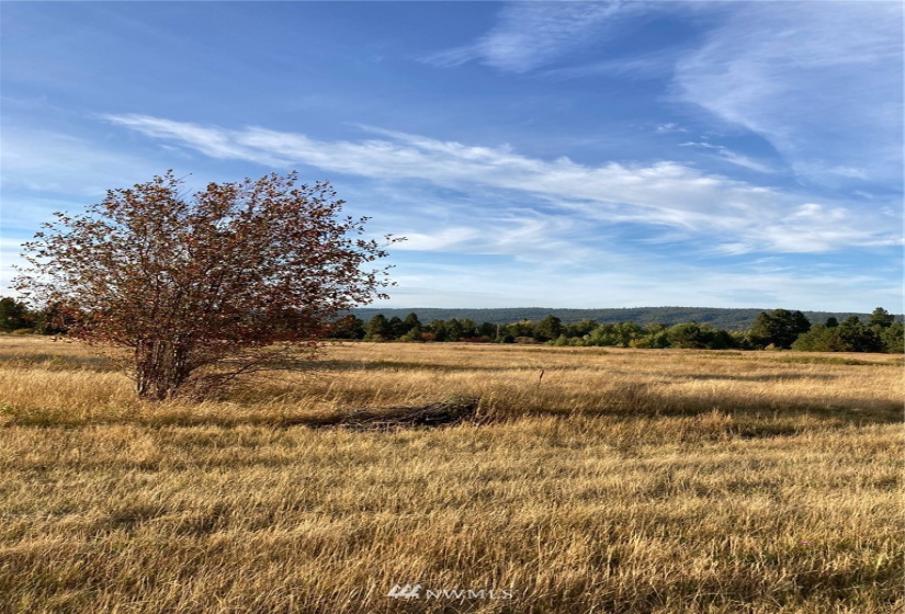 0 Westside, Cle Elum, Washington 98922, ,Land,For Sale,Rodney Dunn Estate,Westside,NWM1857849