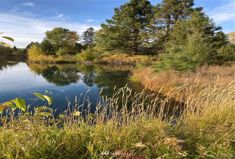 0 Westside, Cle Elum, Washington 98922, ,Land,For Sale,Rodney Dunn Estate,Westside,NWM1857849